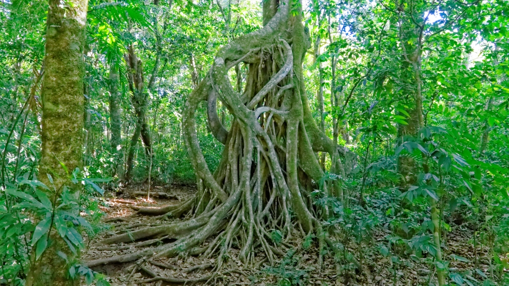 07 - Monterverde (06).jpg